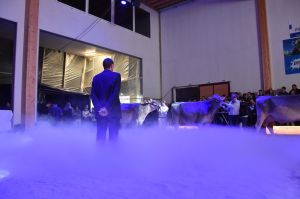 k-DSC_8671